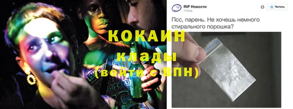 стаф Алзамай