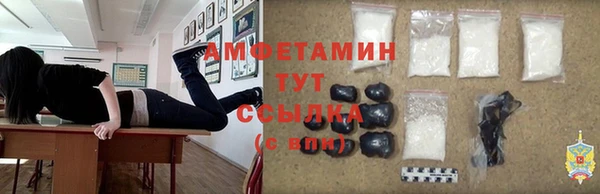 стаф Алзамай